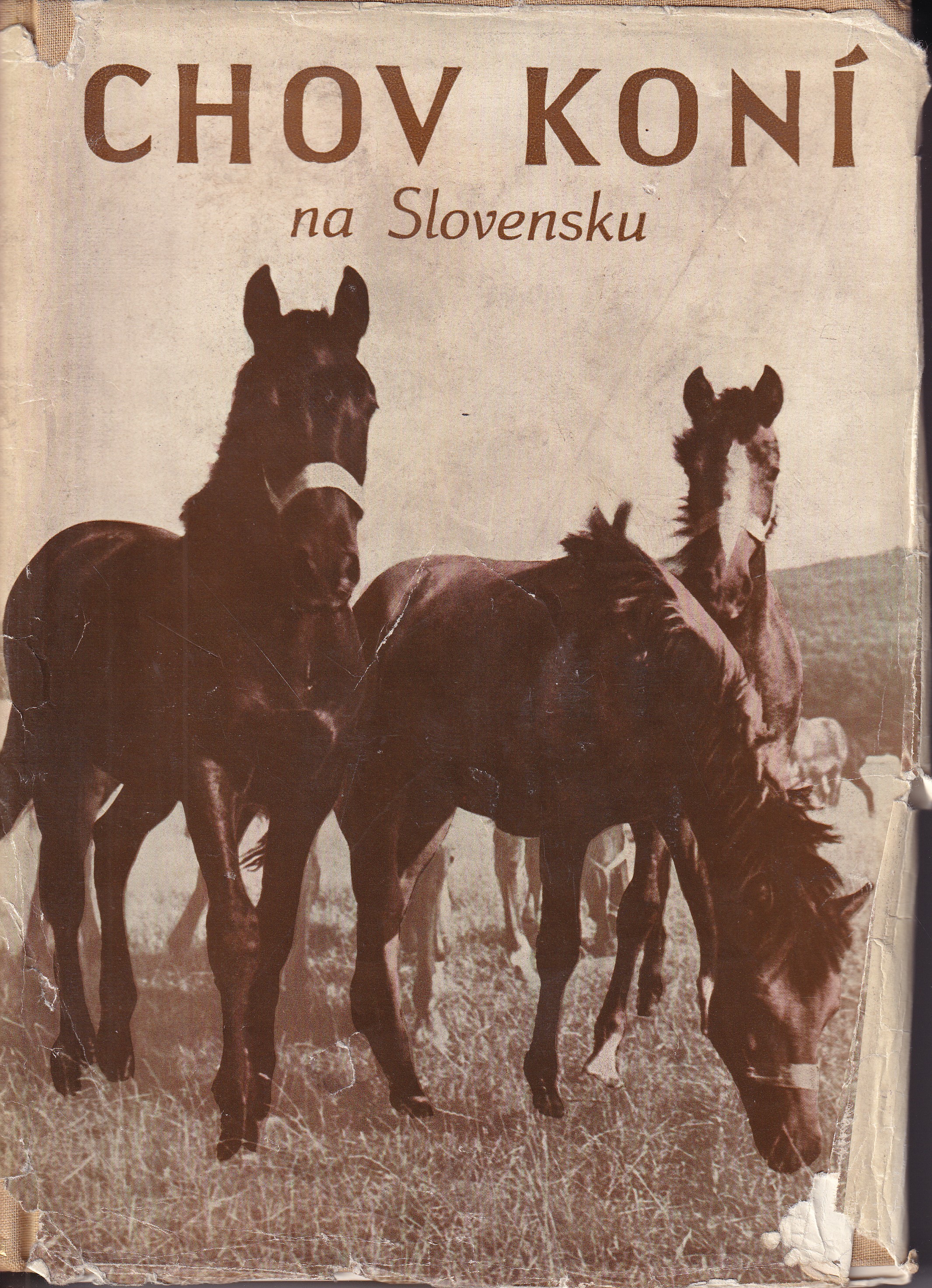 Chov koní na Slovensku