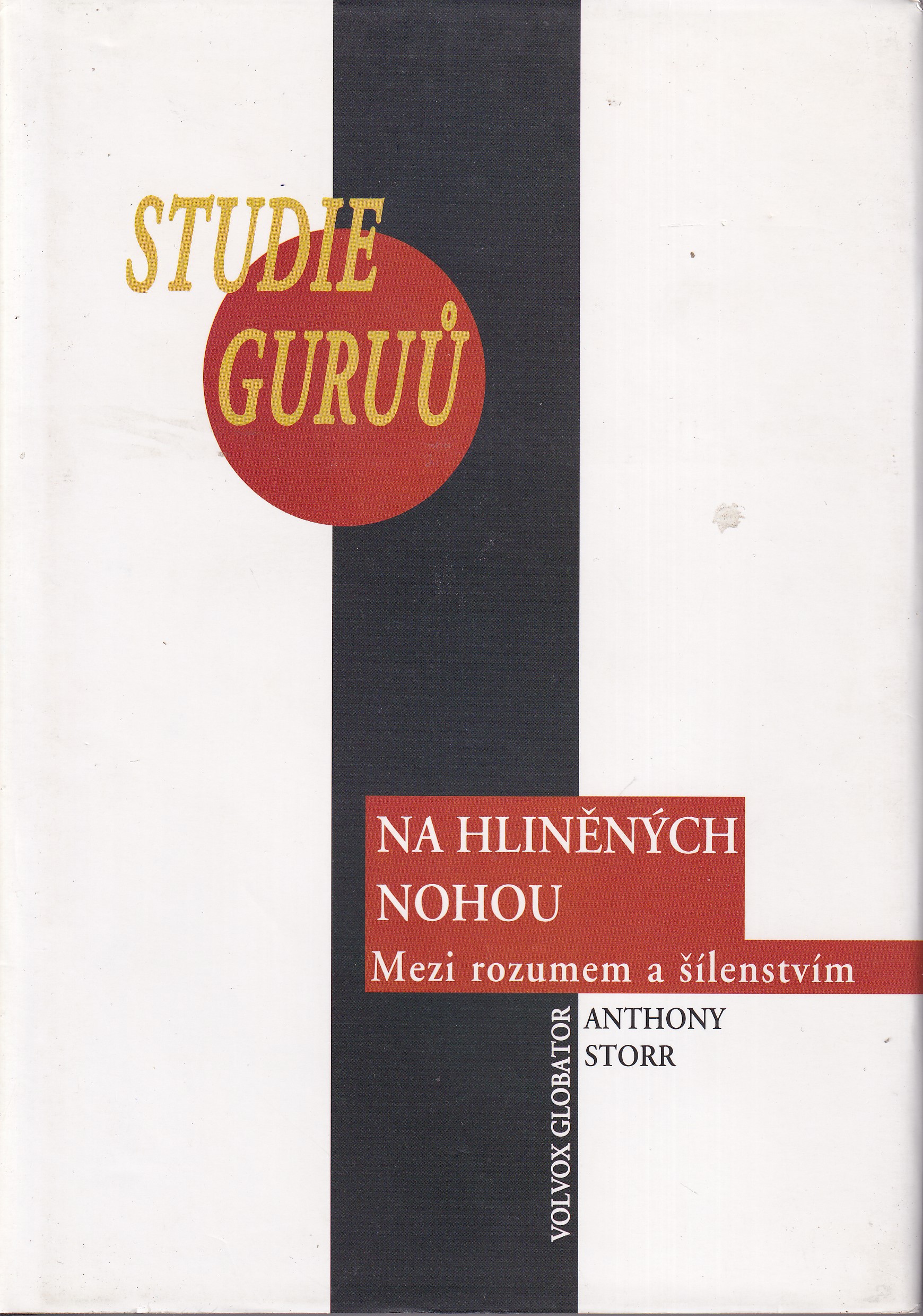 Na hliněných nohou : studie guruů