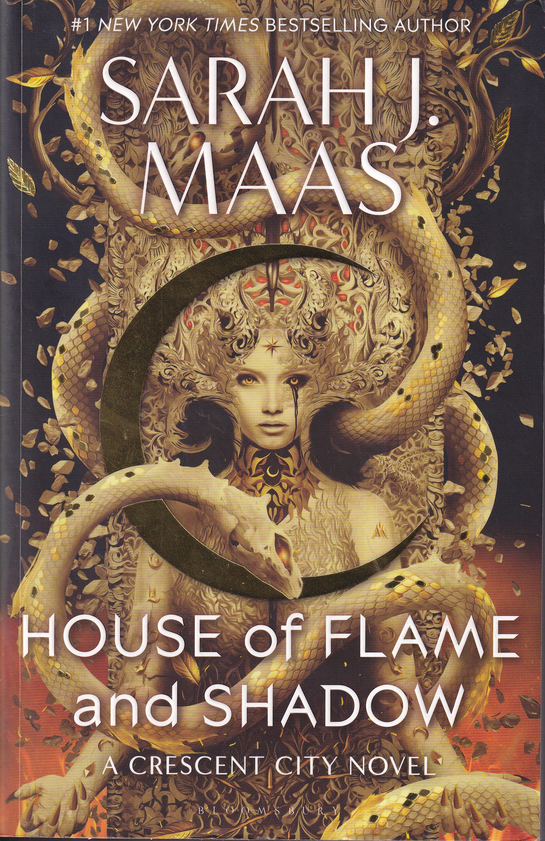House of Flame and Shadow