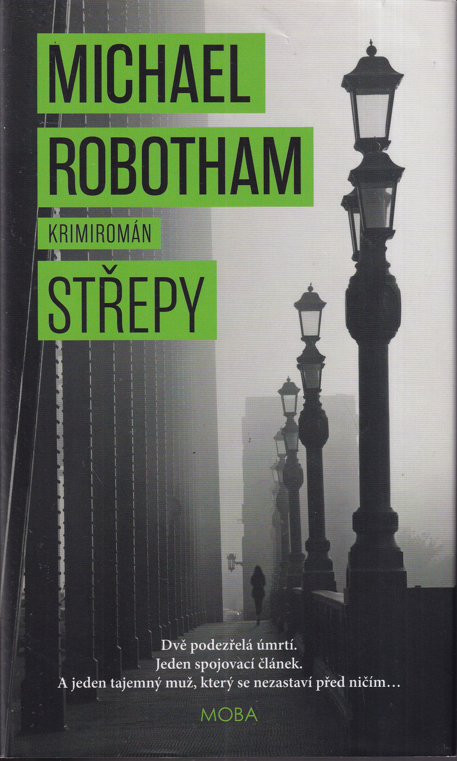 Střepy, Michael Robotham