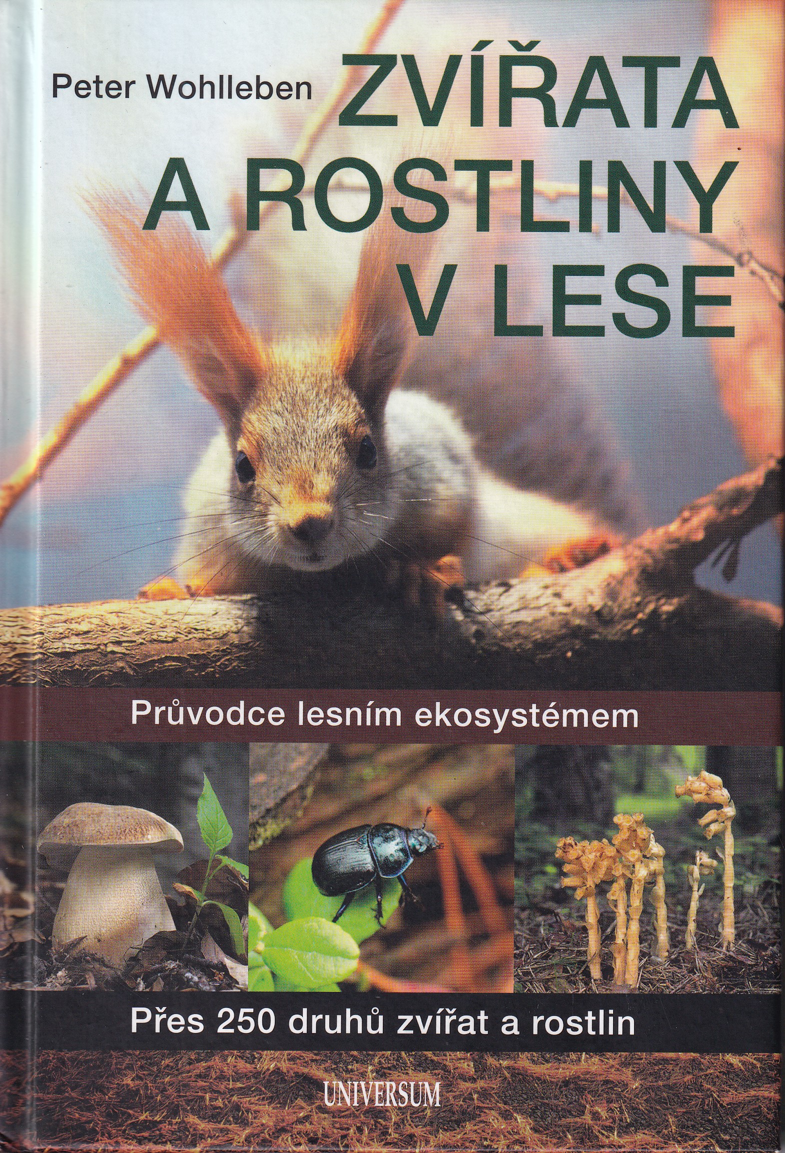 Zvířata a rostliny v lese : průvodce lesním ekosystémem : přes 250 druhů zvířat a rostlin