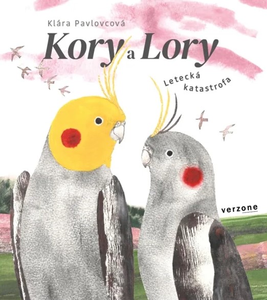Kory a Lory: Letecká katastrofa