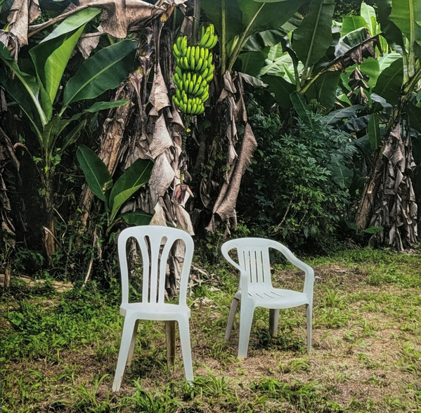 LP Debí Tirar Más Fotos