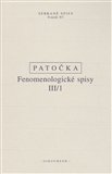 Fenomenologické spisy III/1