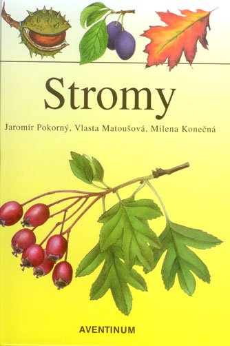 Stromy