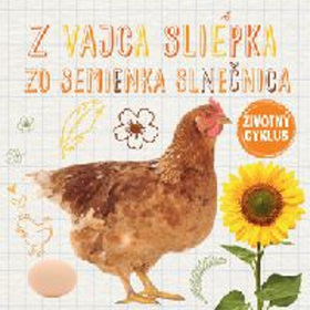 Z vajca sliepka Zo semienka slnečnica