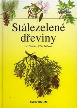 Stálezelené dřeviny