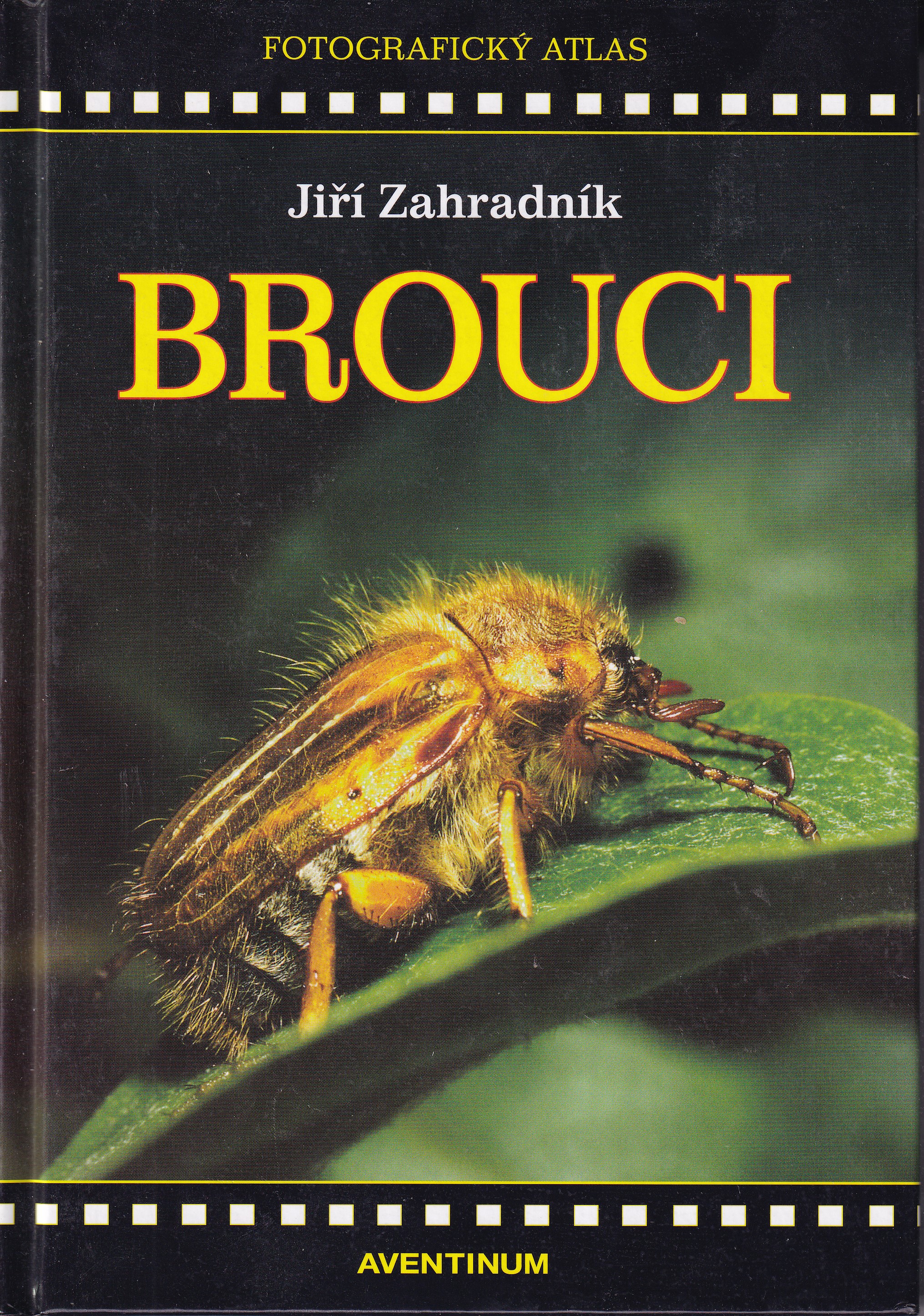 Brouci   Jiří Zahradník