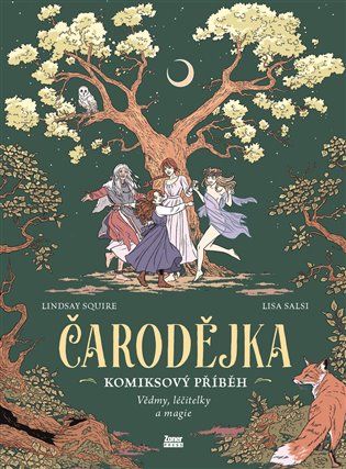 Čarodějka: Komiksový příběh