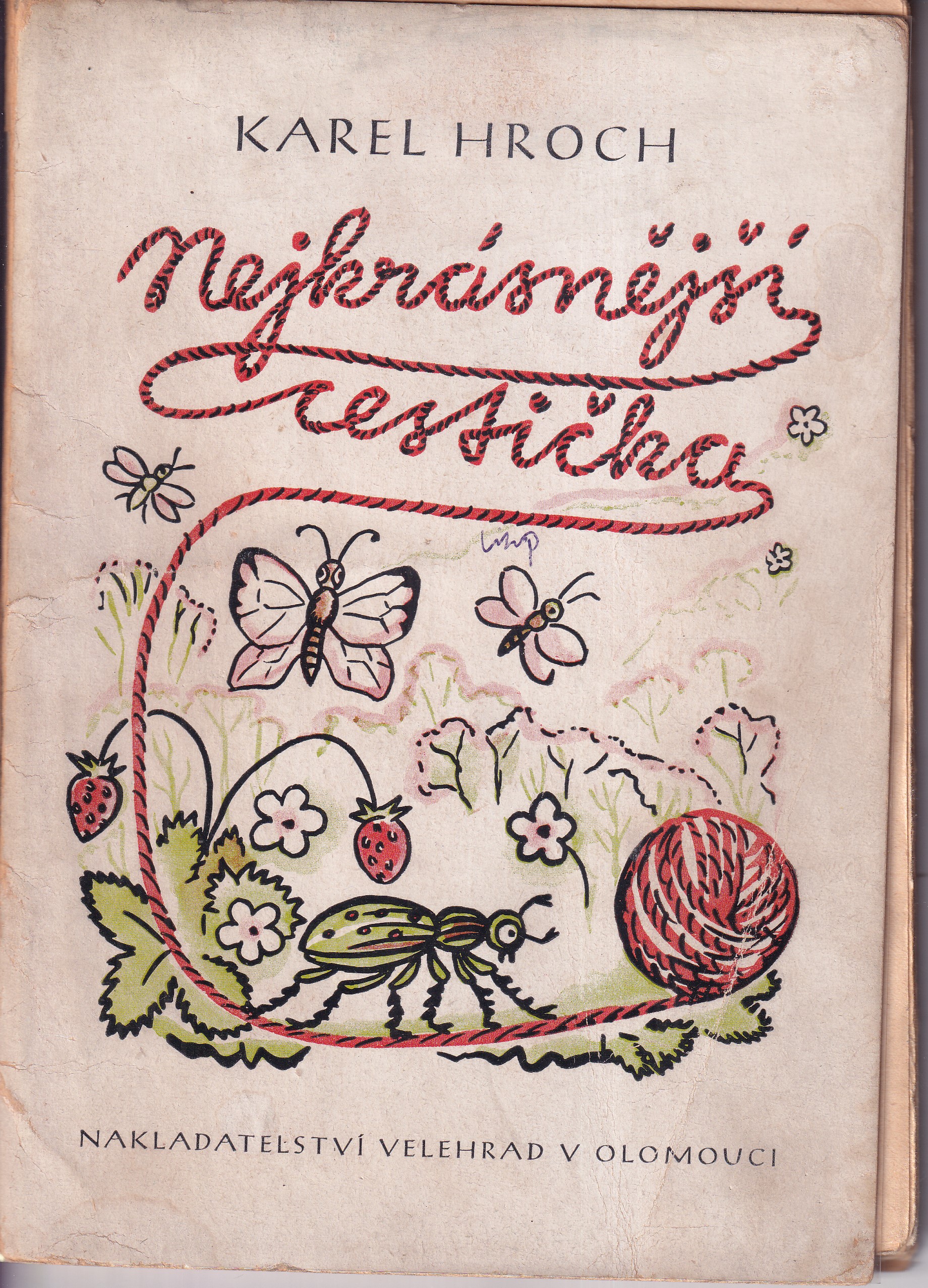 Nejkrásnější cestička : patnáct pohádek pro malé i velké čtenáře