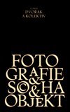 Fotografie, socha, objekt