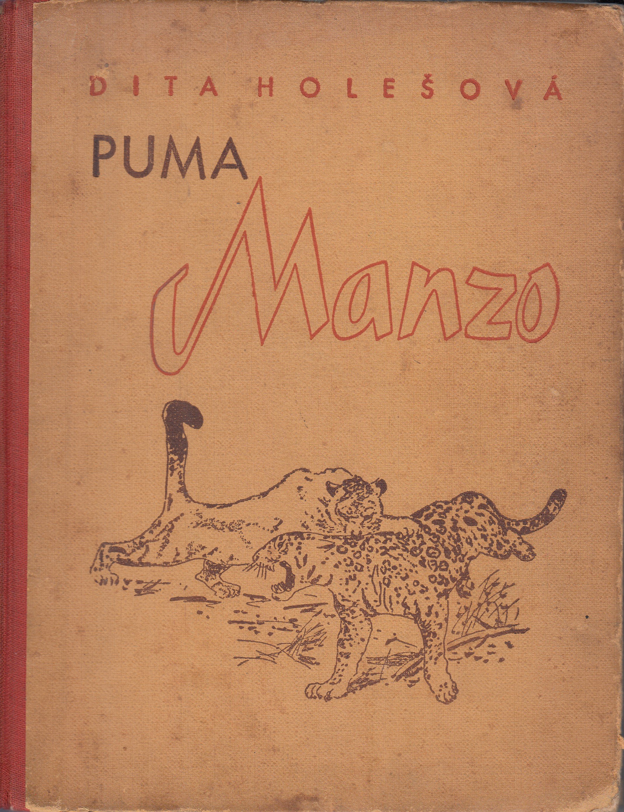 Puma Manzo : Román amerického lva