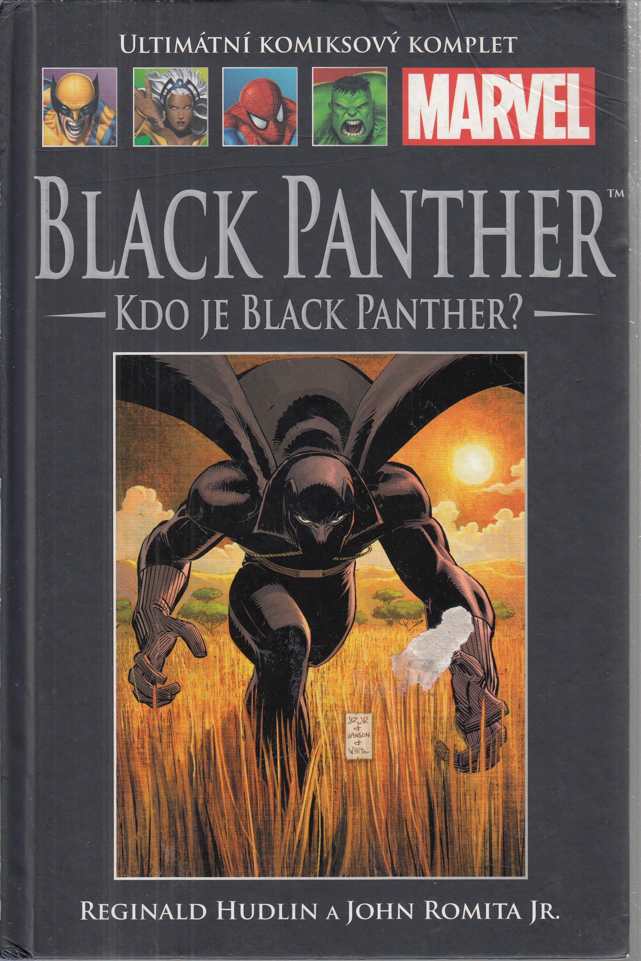 Black Panther: Kdo je Black Panther?