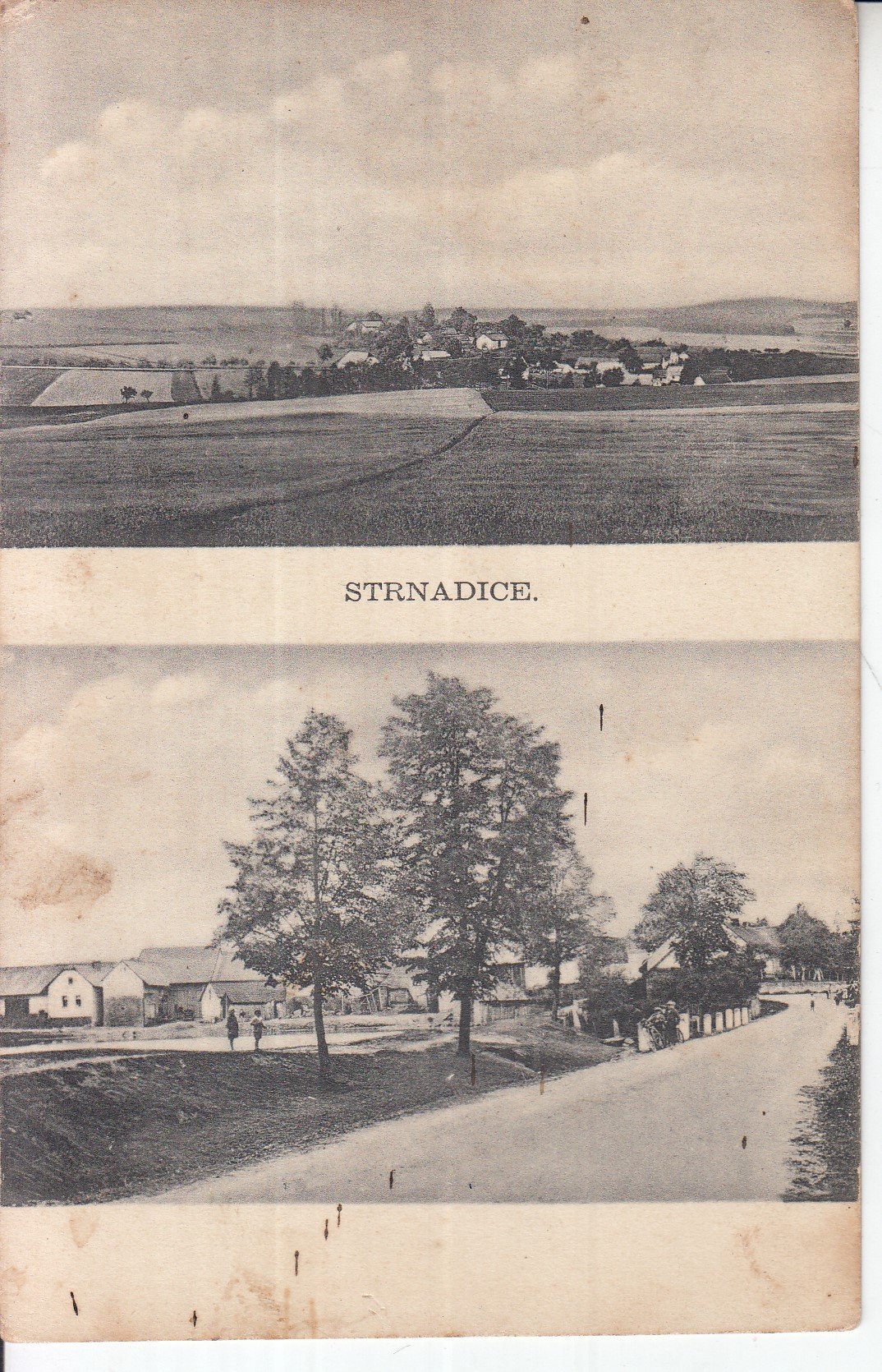 Strnadice / pohlednice