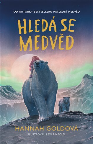 Hledá se medvěd 