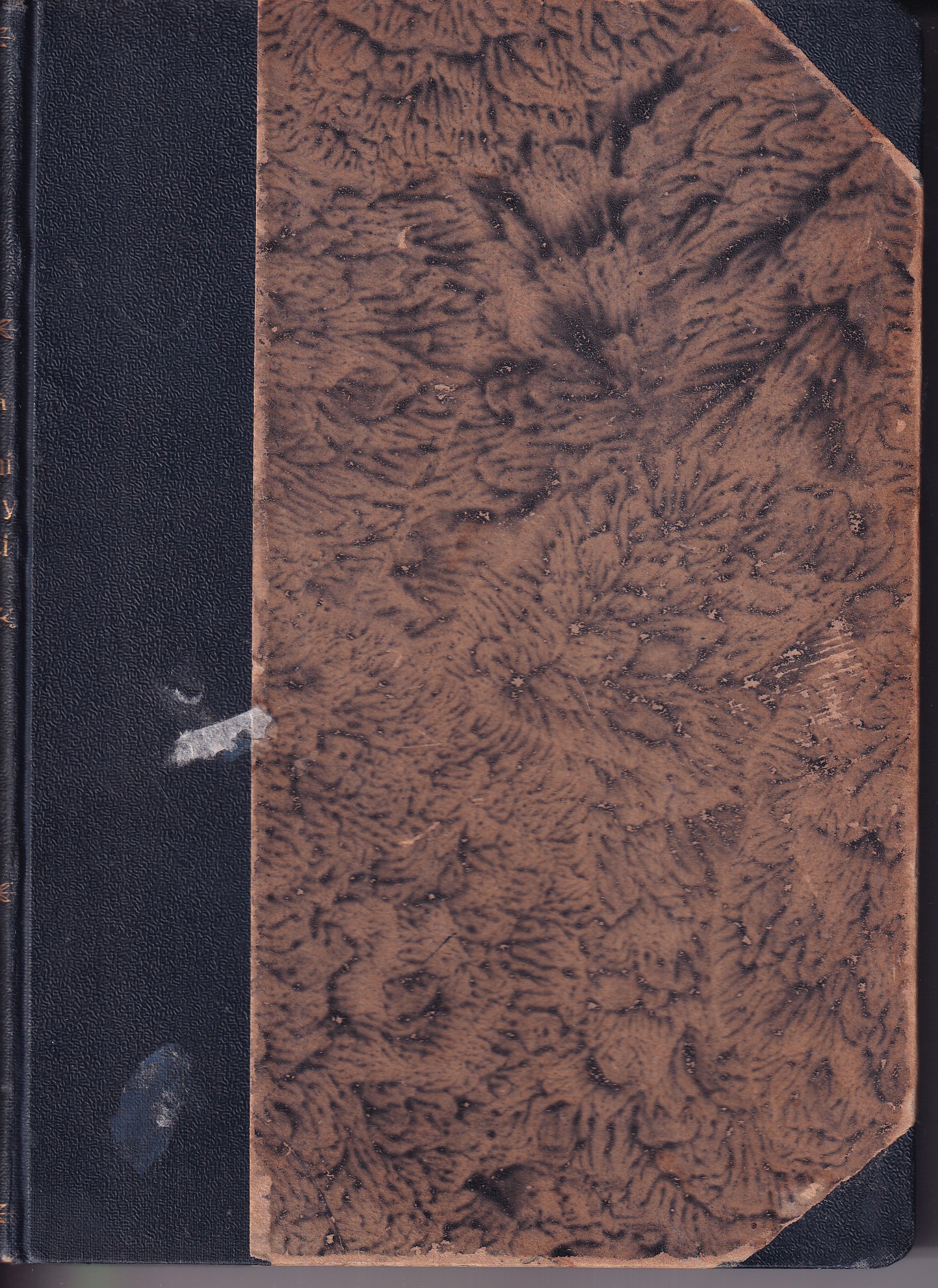 Národní báchorky a pověsti - díl I.