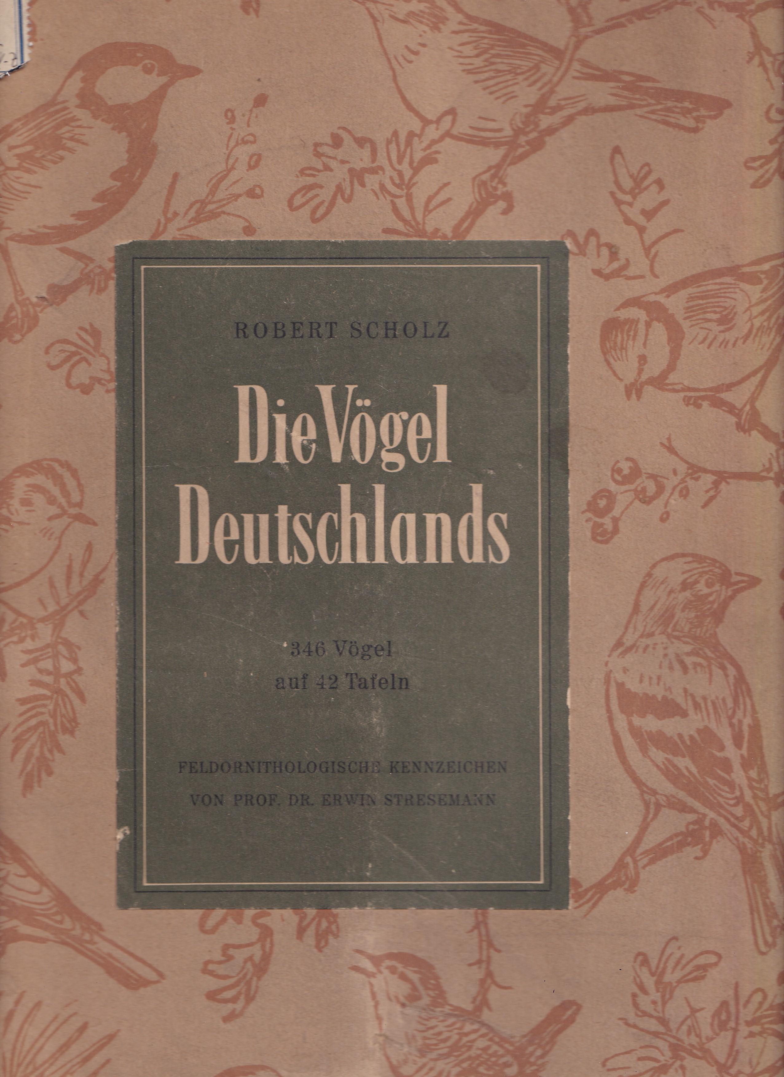Die Vögel Deutschlands