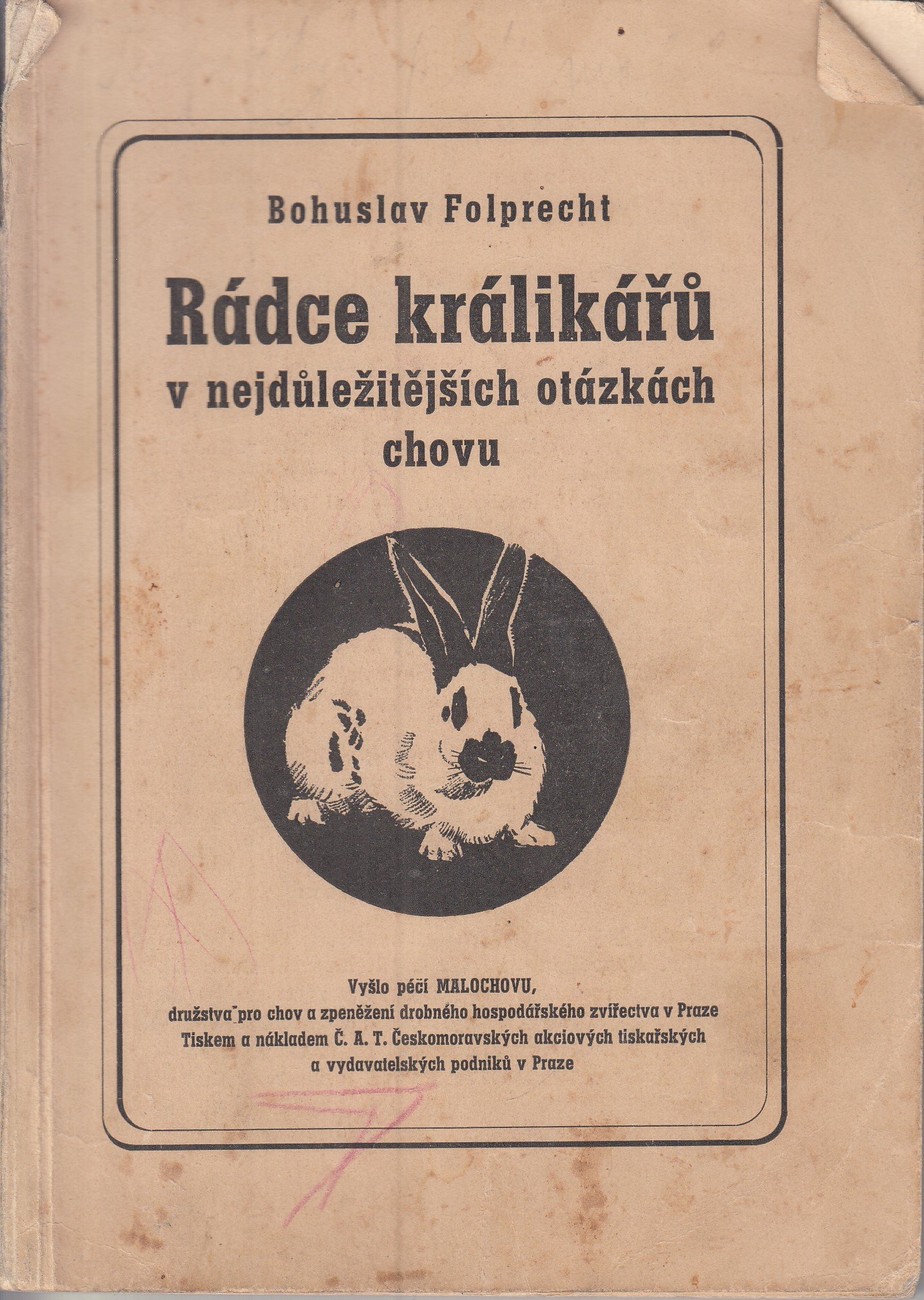 Rádce králikářů v nejdůležitějších otázkách chovu