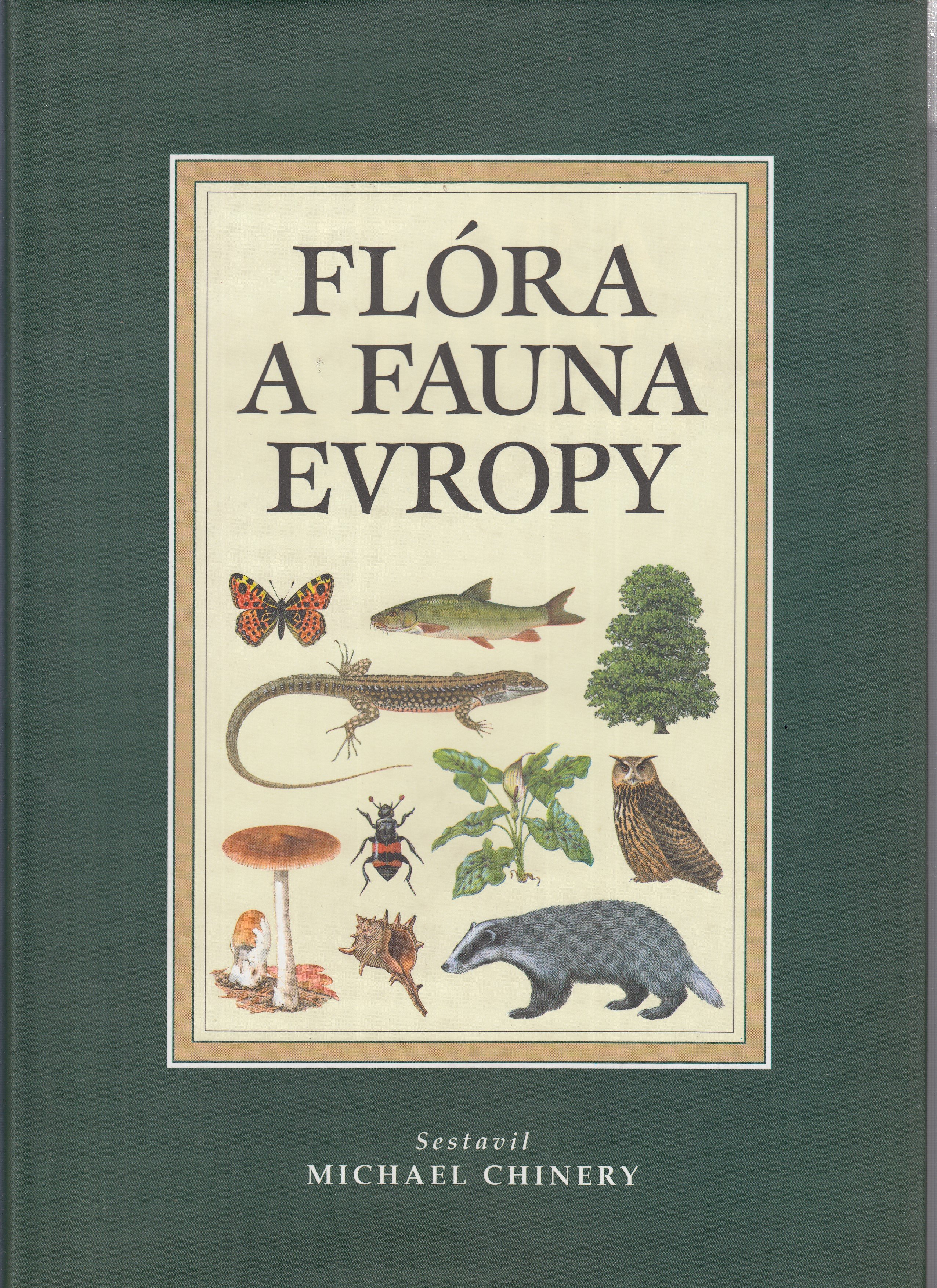 Flóra a fauna Evropy