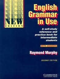 English Grammar in Use With Answers: Reference and Practice for Intermediate Students