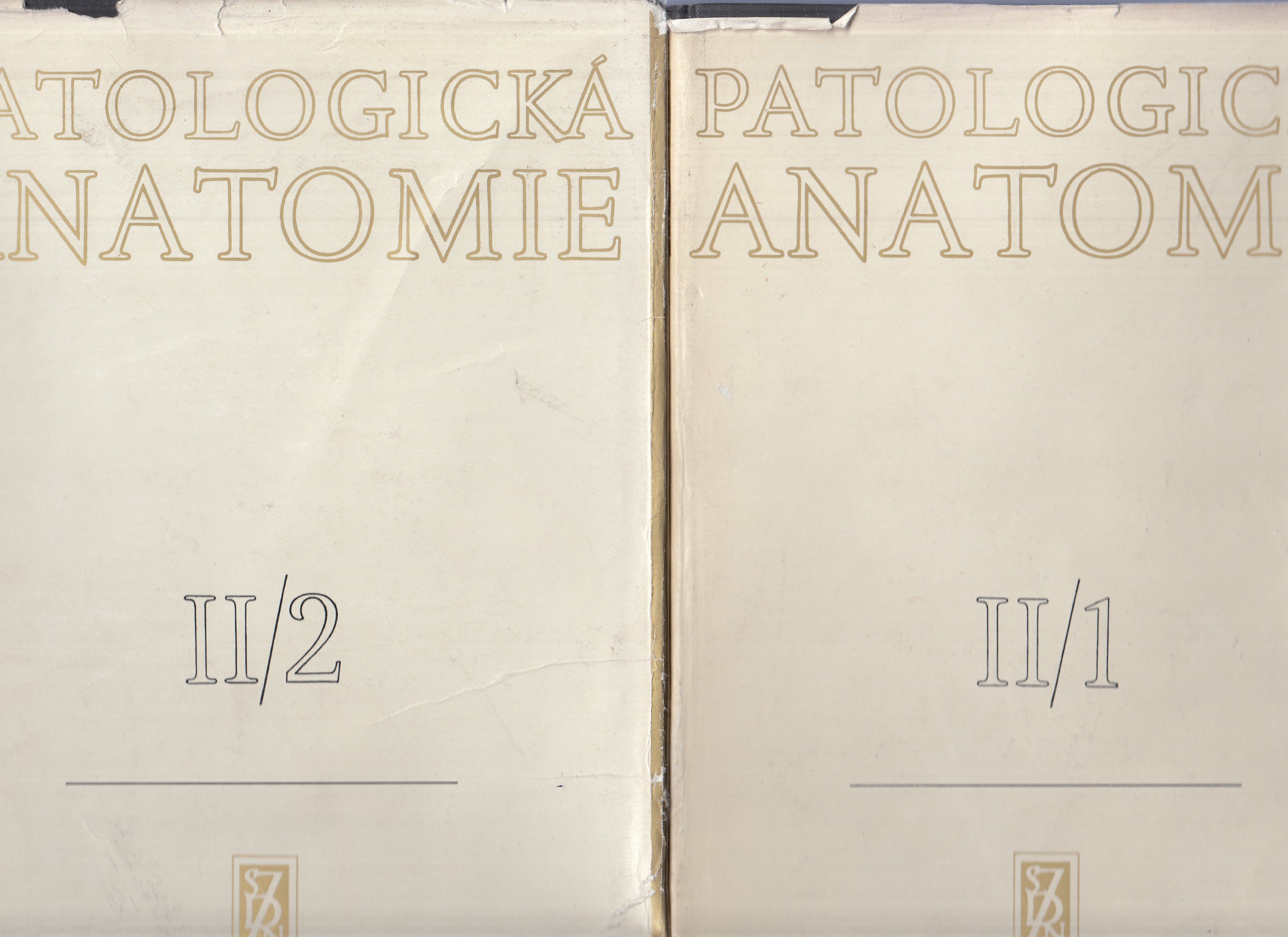 Patologická anatomie II / I, II