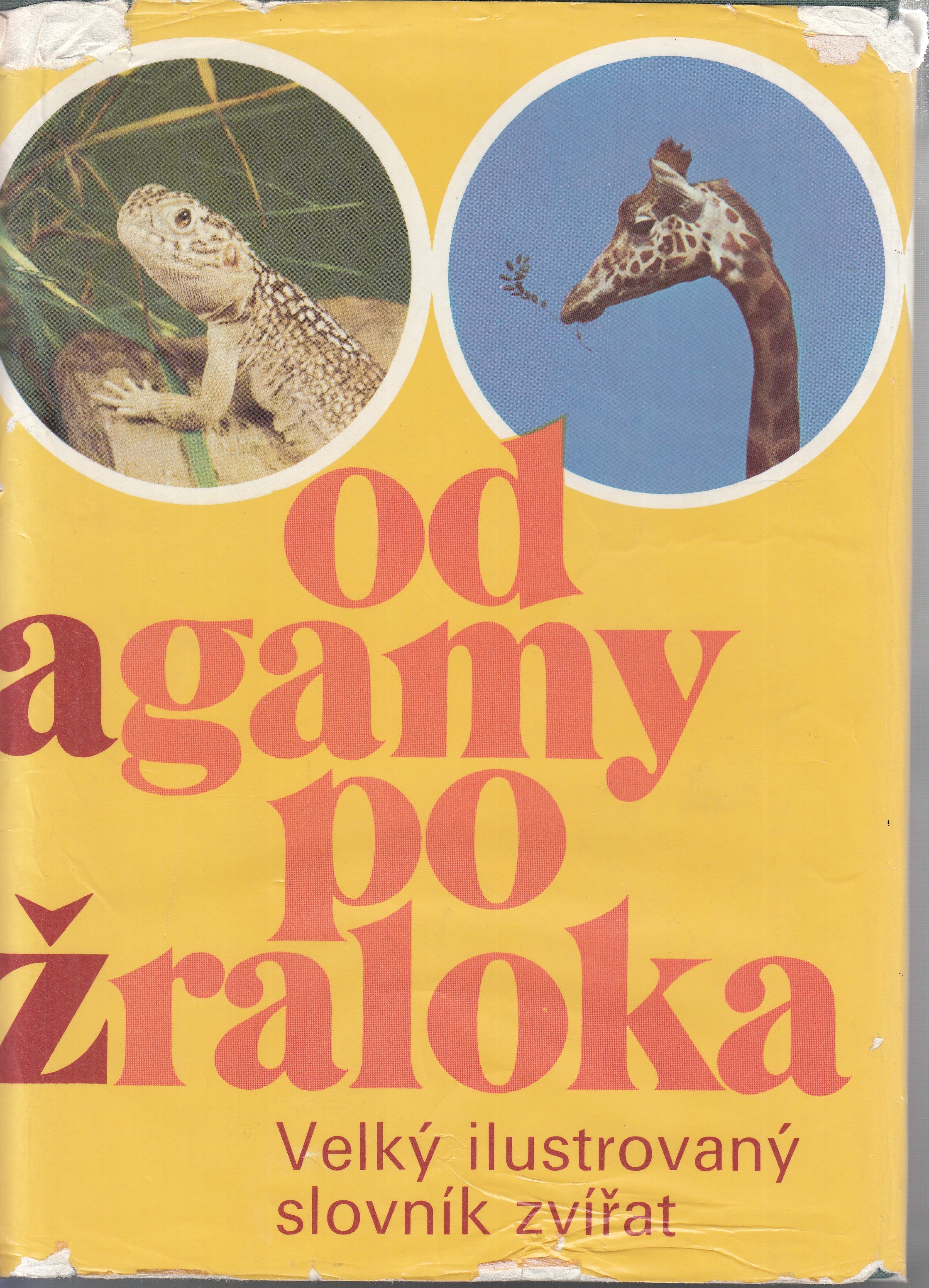 Od agamy po žraloka : Velký ilustrovaný slovník zvířat