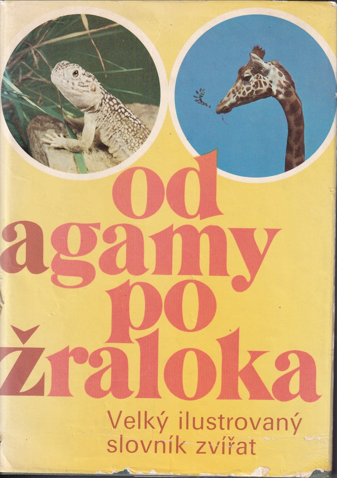 Od agamy po žraloka : Velký ilustrovaný slovník zvířat