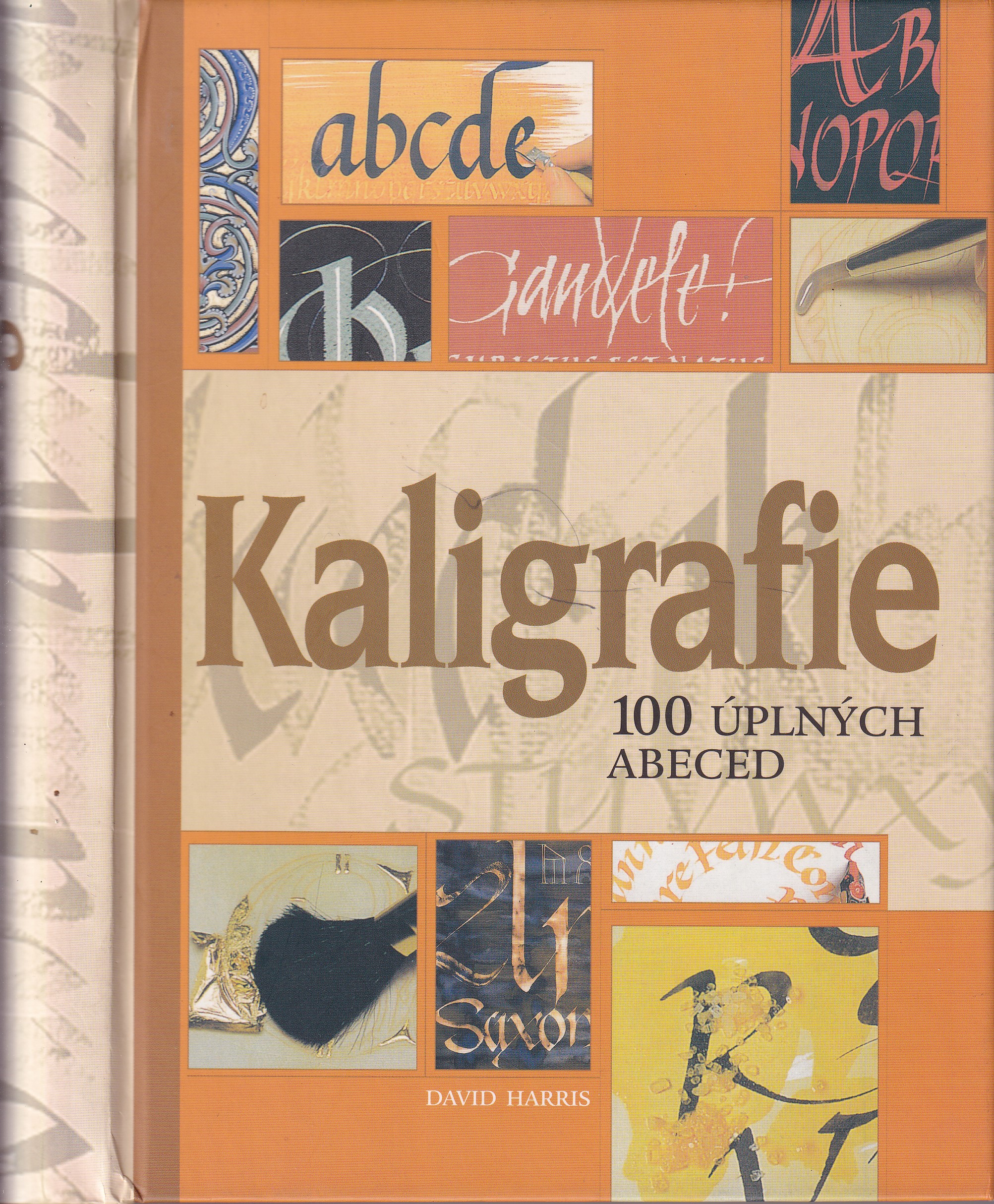 Kaligrafie  100 úplných abeced : podrobný a přehledný průvodce pro každého, kdo by se rád naučil umění krásného psaní  David Har