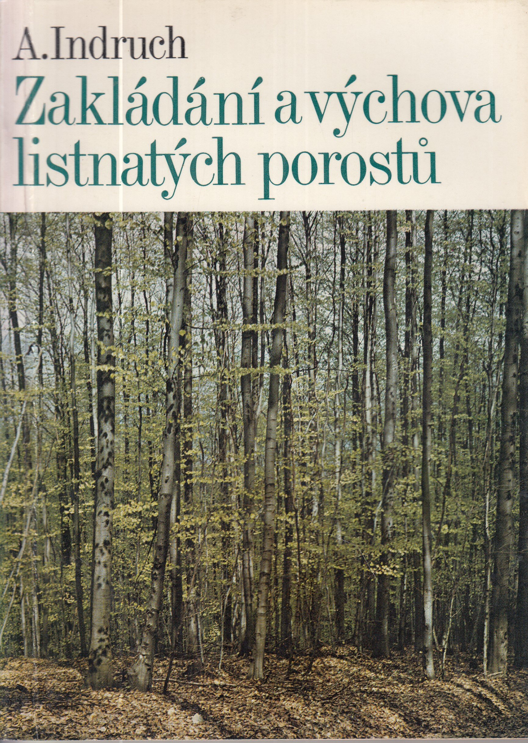 Zakládání a výchova listnatých porostů : zkušenosti a poznatky získané při zakládání a výchově listnatých porostů v podmínkách B