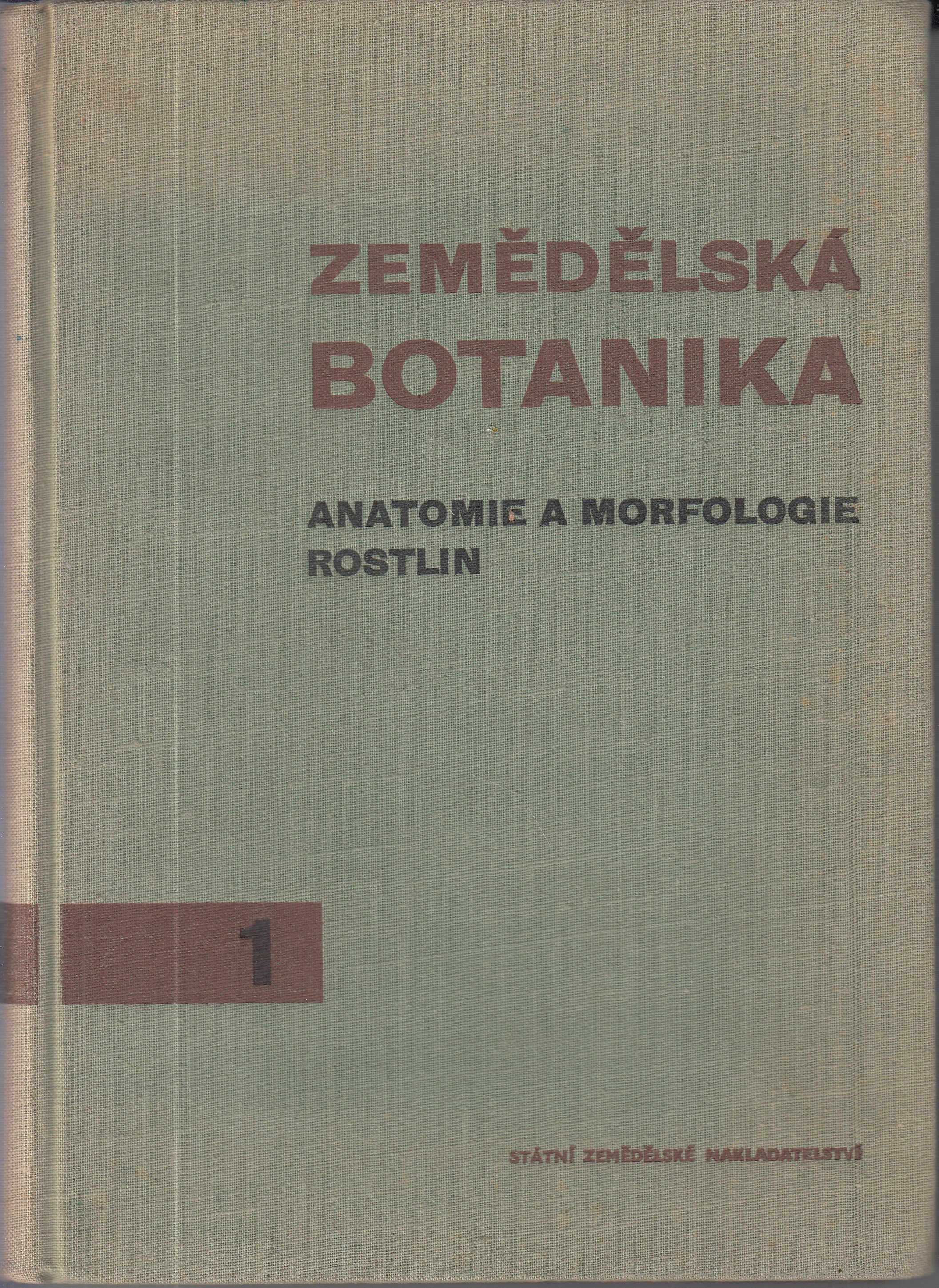 Zemědělská botanika 1.  Anatomie a morfologie rostlin