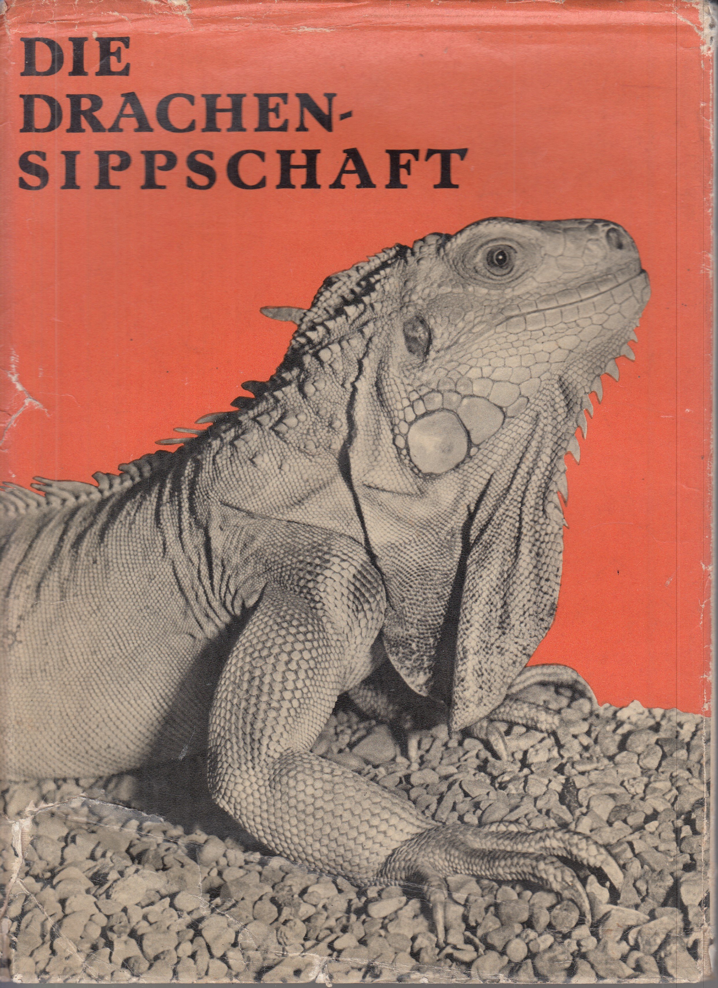 Die Drachen-Sippschaft