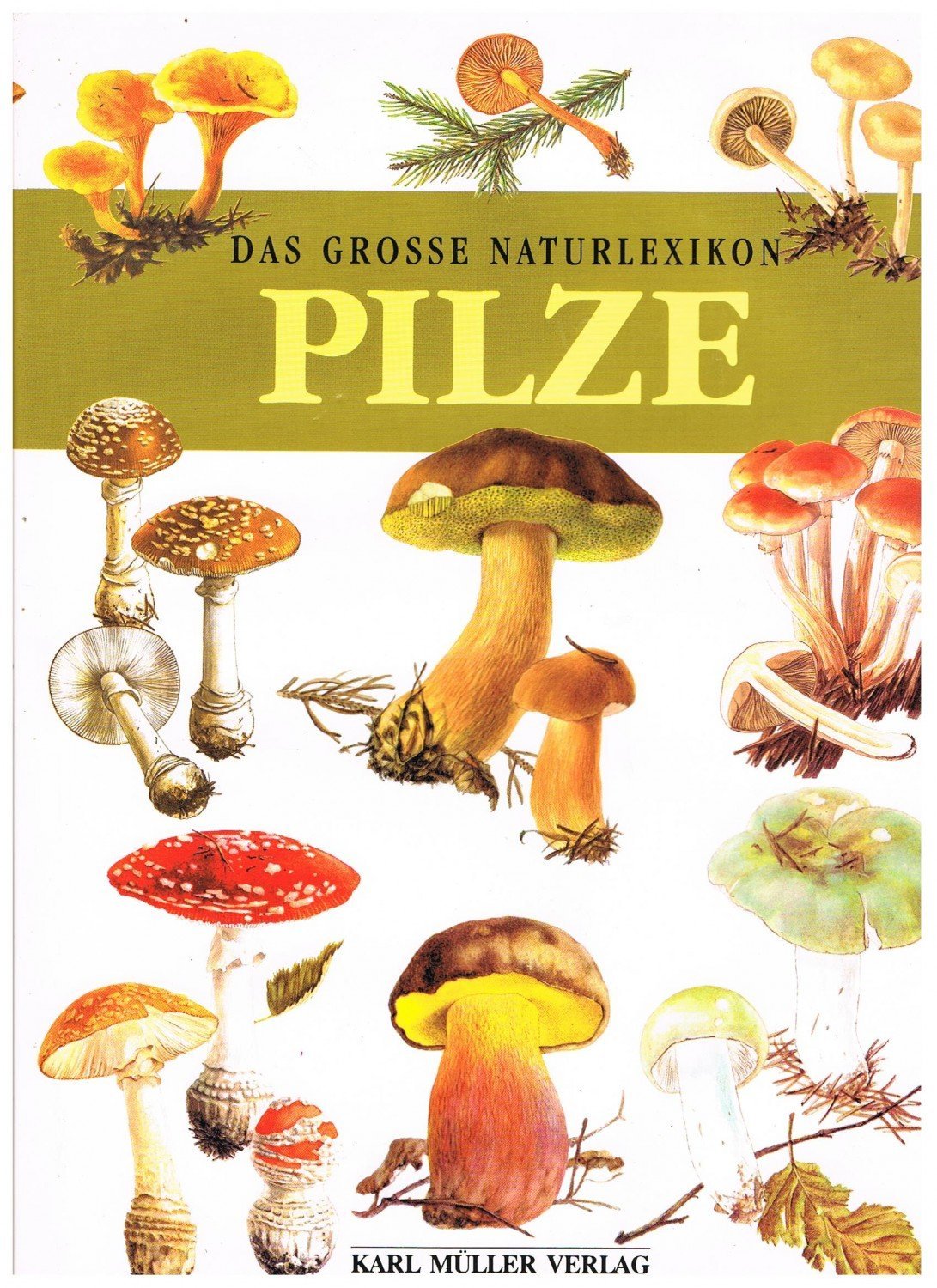 Das grosse Naturlexikon. Pilze