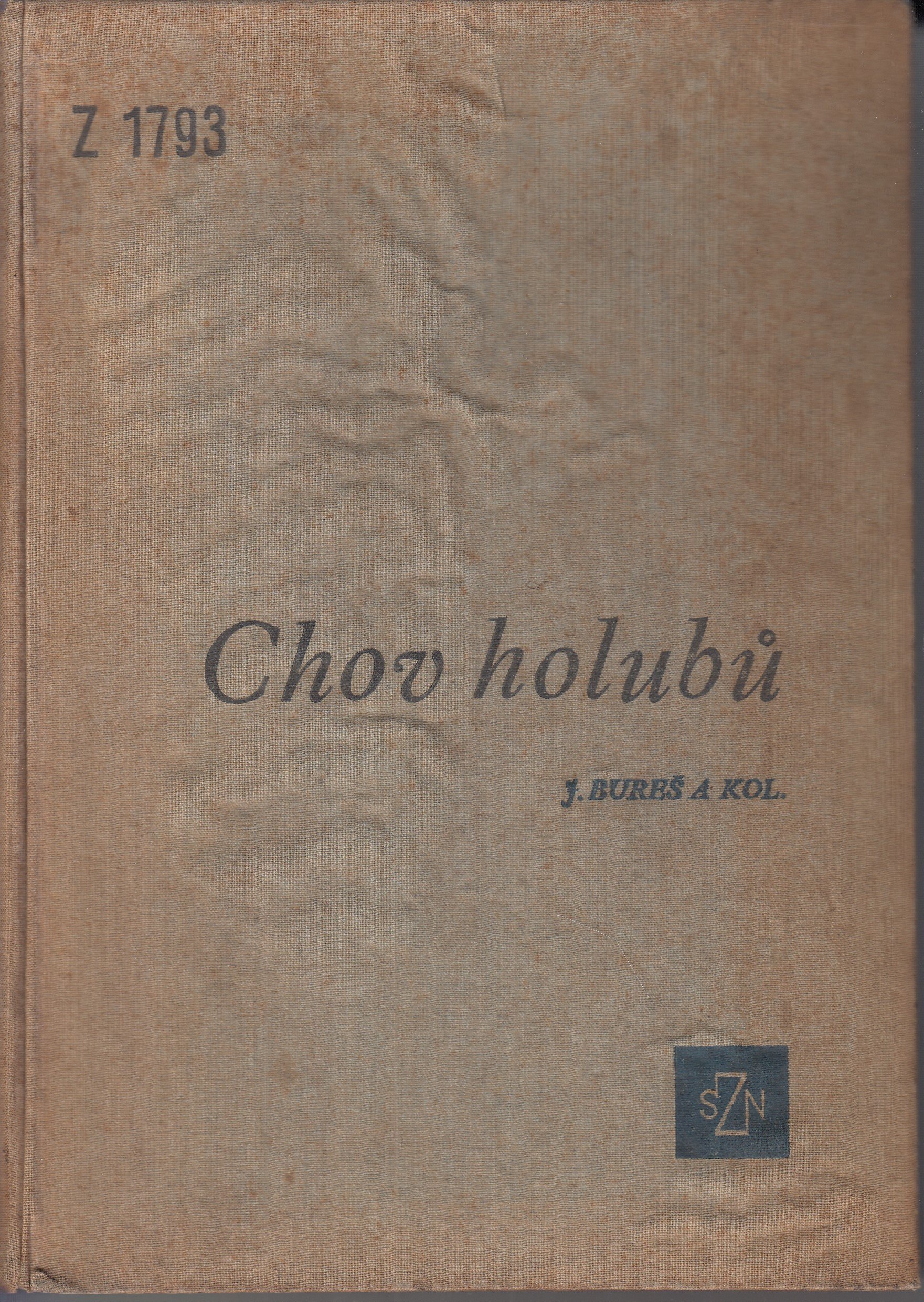 Chov holubů