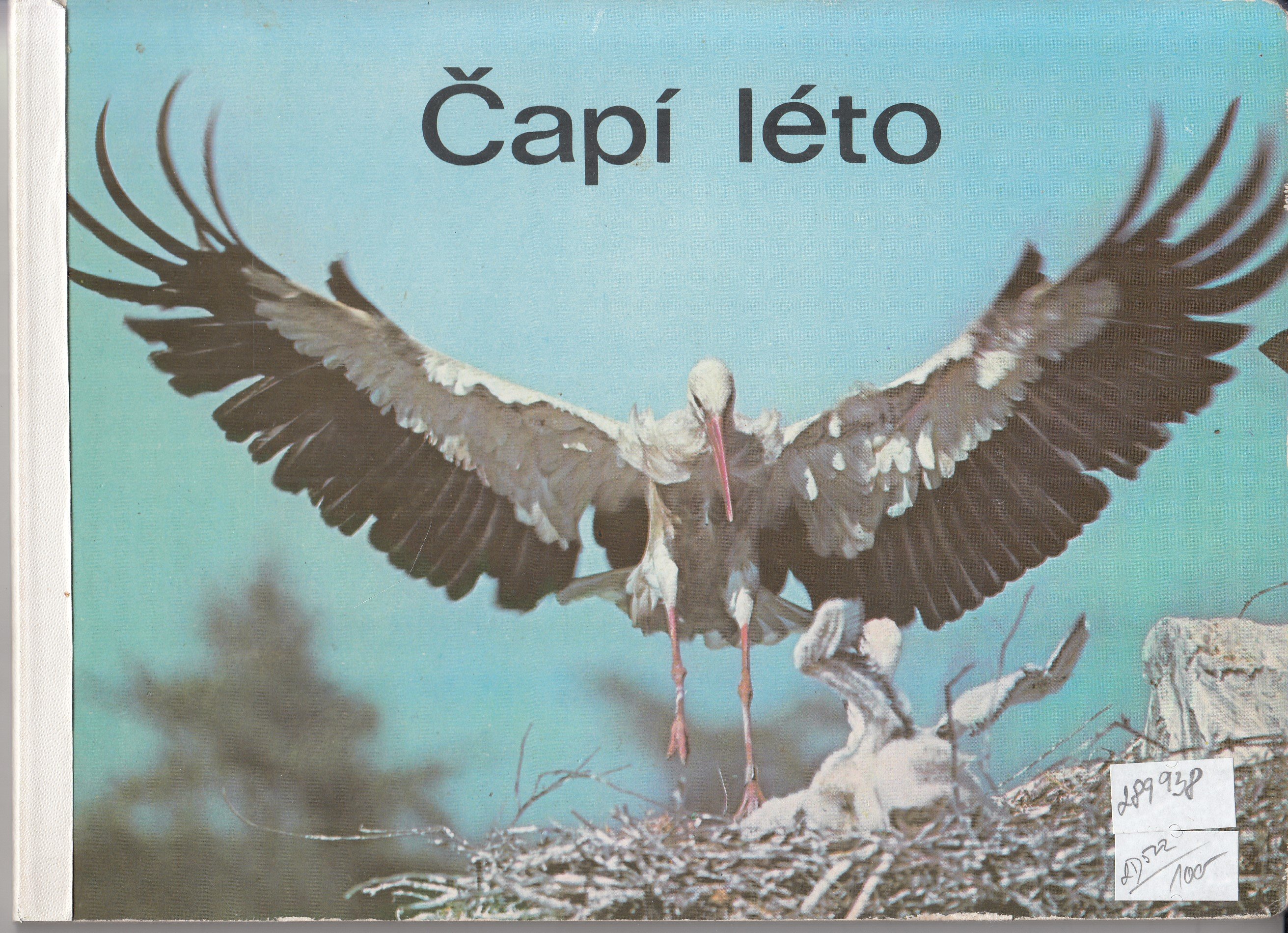 Čapí léto