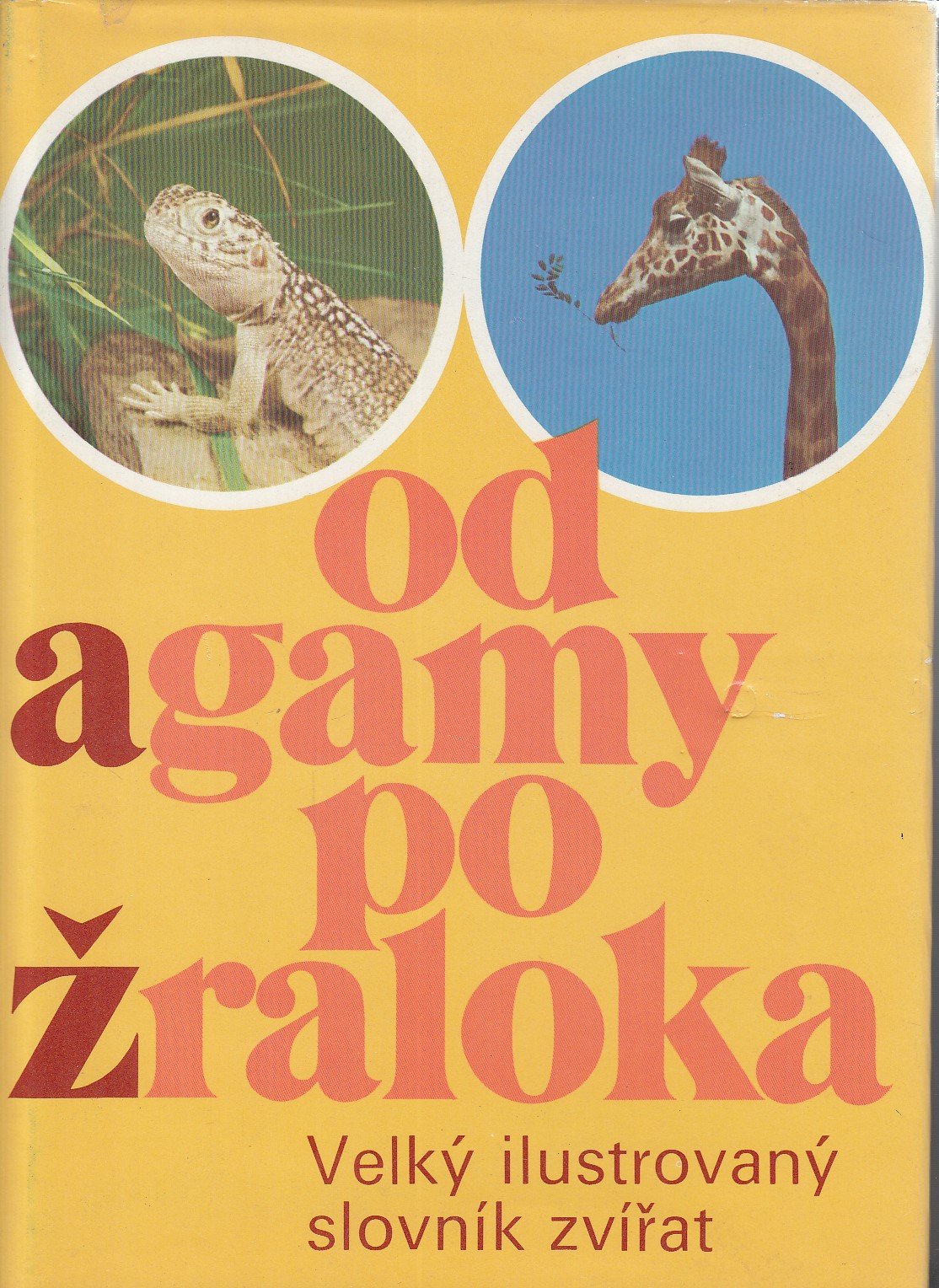 Od agamy po žraloka : Velký ilustrovaný slovník zvířat