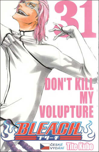 Bleach 31