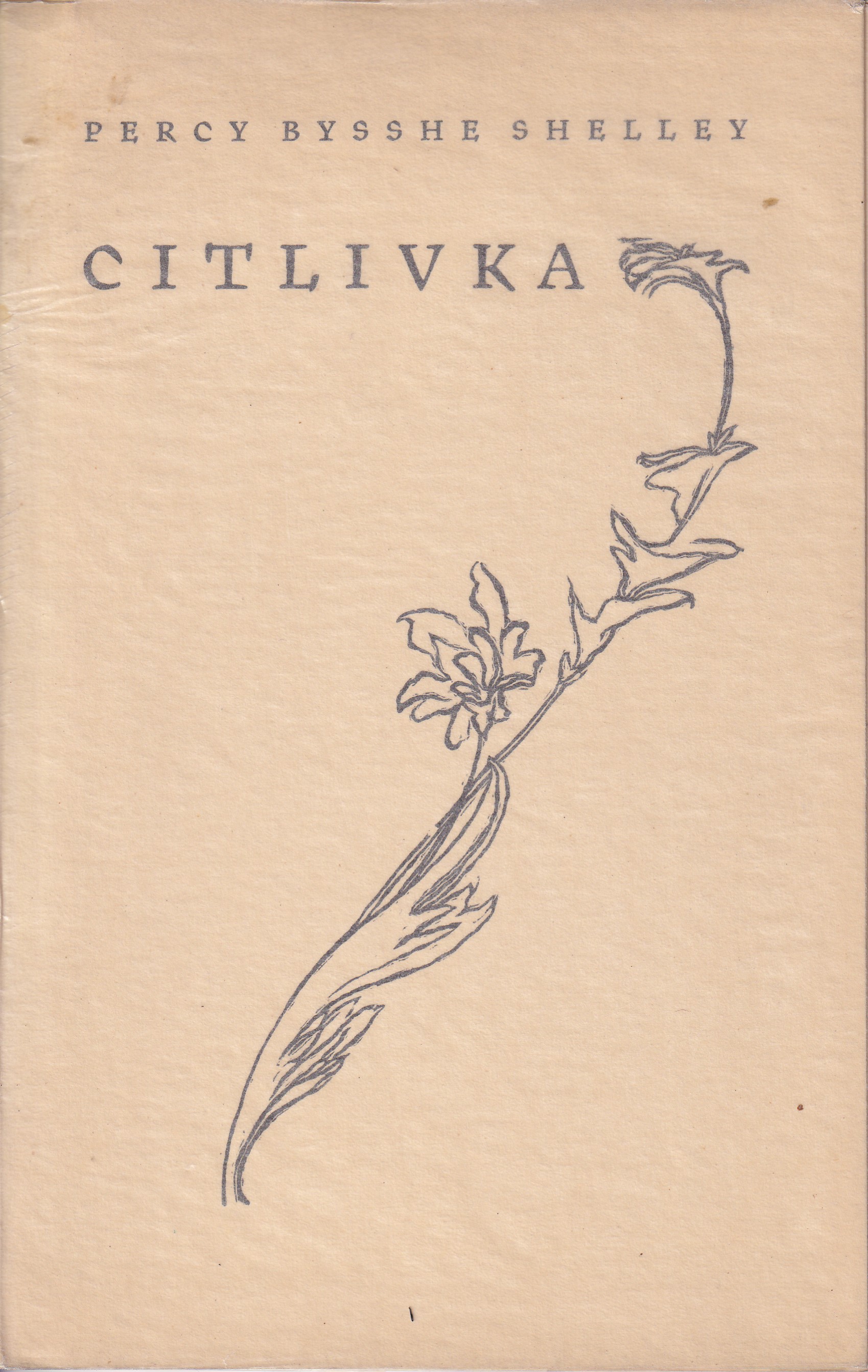 Citlivka