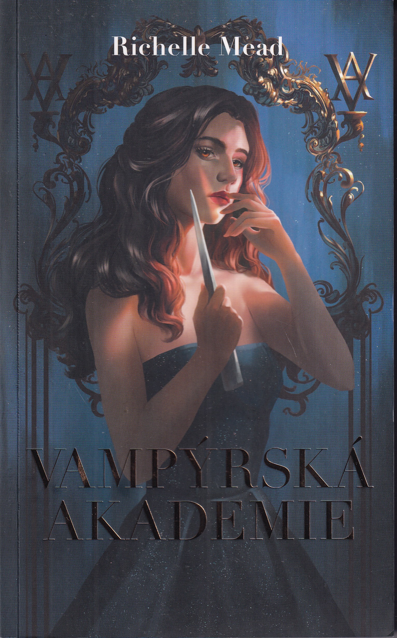 Vampýrská akademie 1