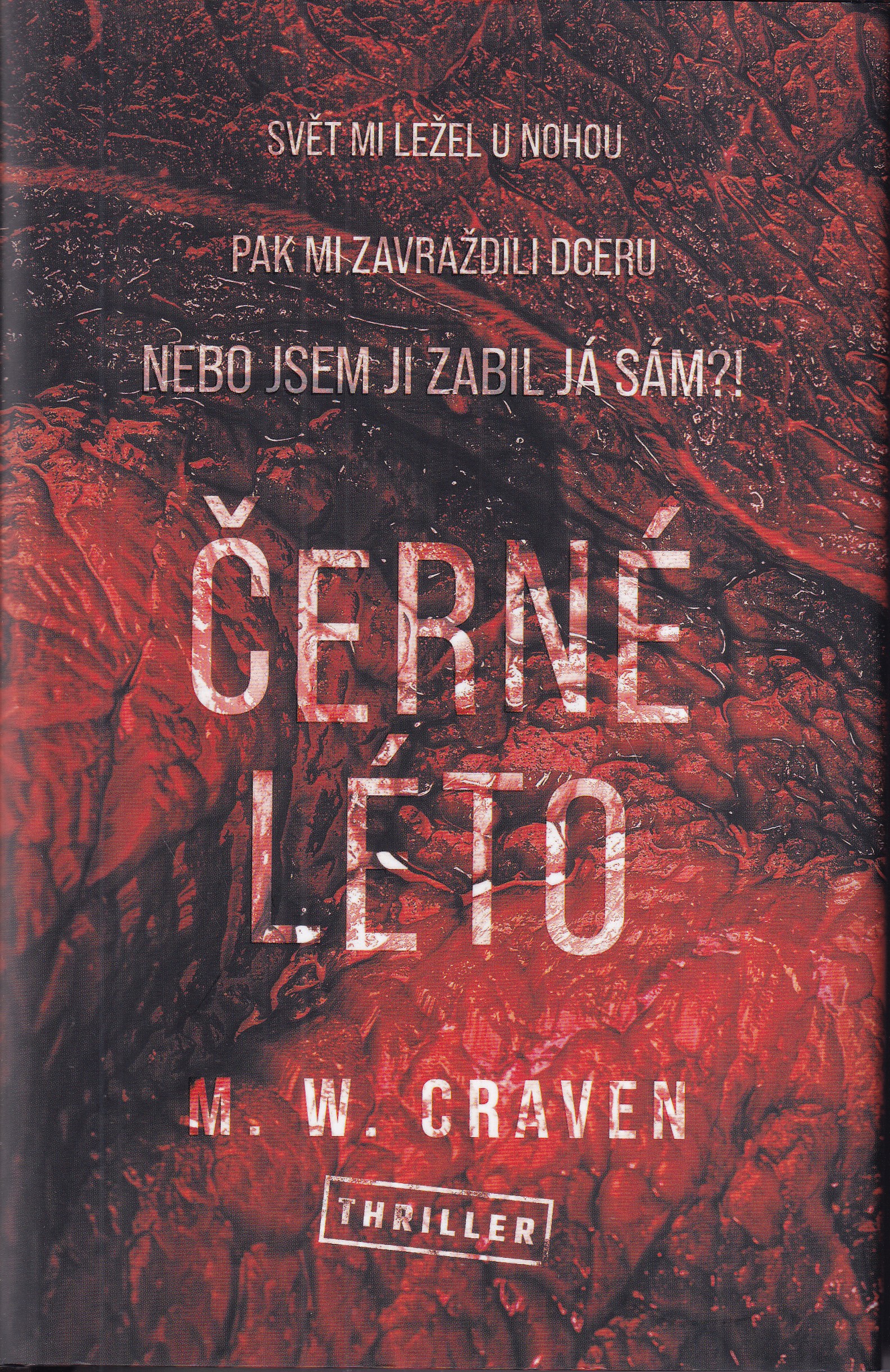 Černé léto