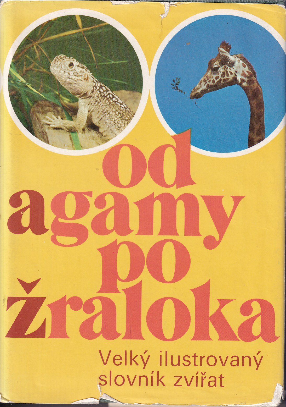 Od agamy po žraloka : Velký ilustrovaný slovník zvířat