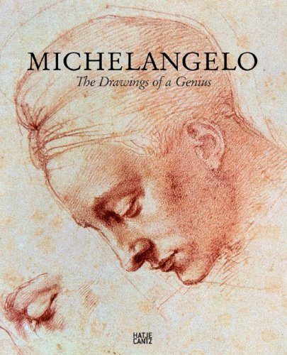 Michelangelo : The drawings of a genius