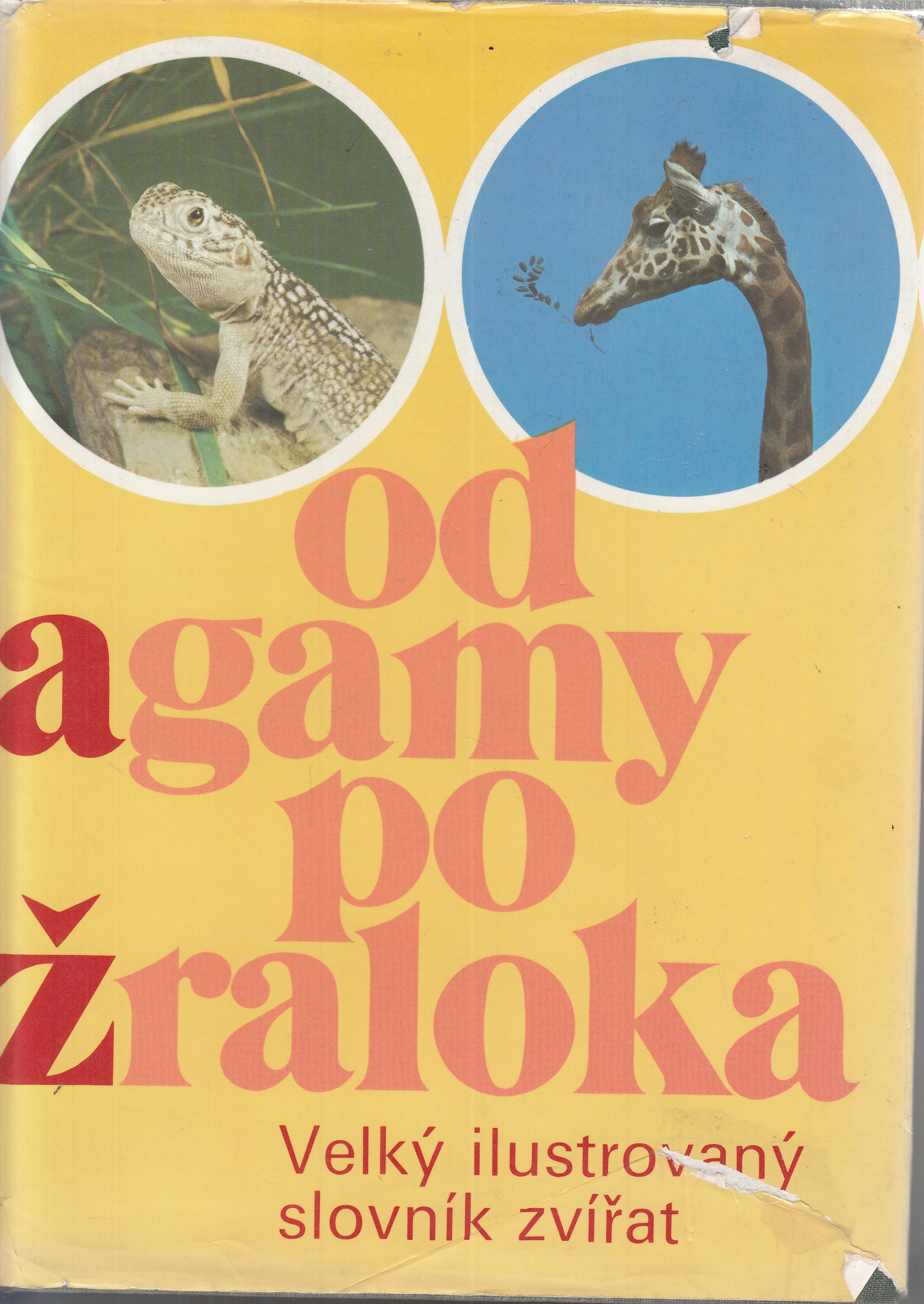 Od agamy po žraloka : Velký ilustrovaný slovník zvířat