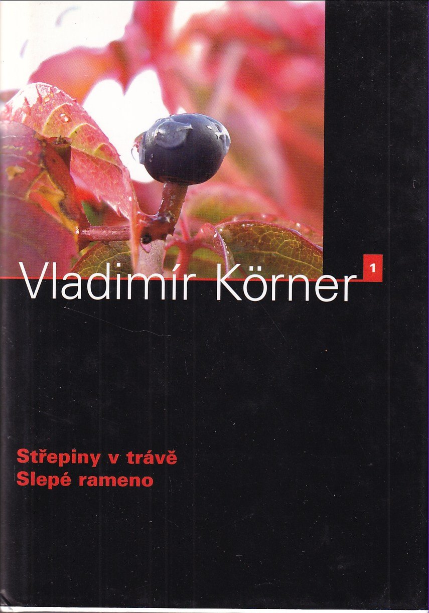 Slepé rameno ; Střepiny v trávě