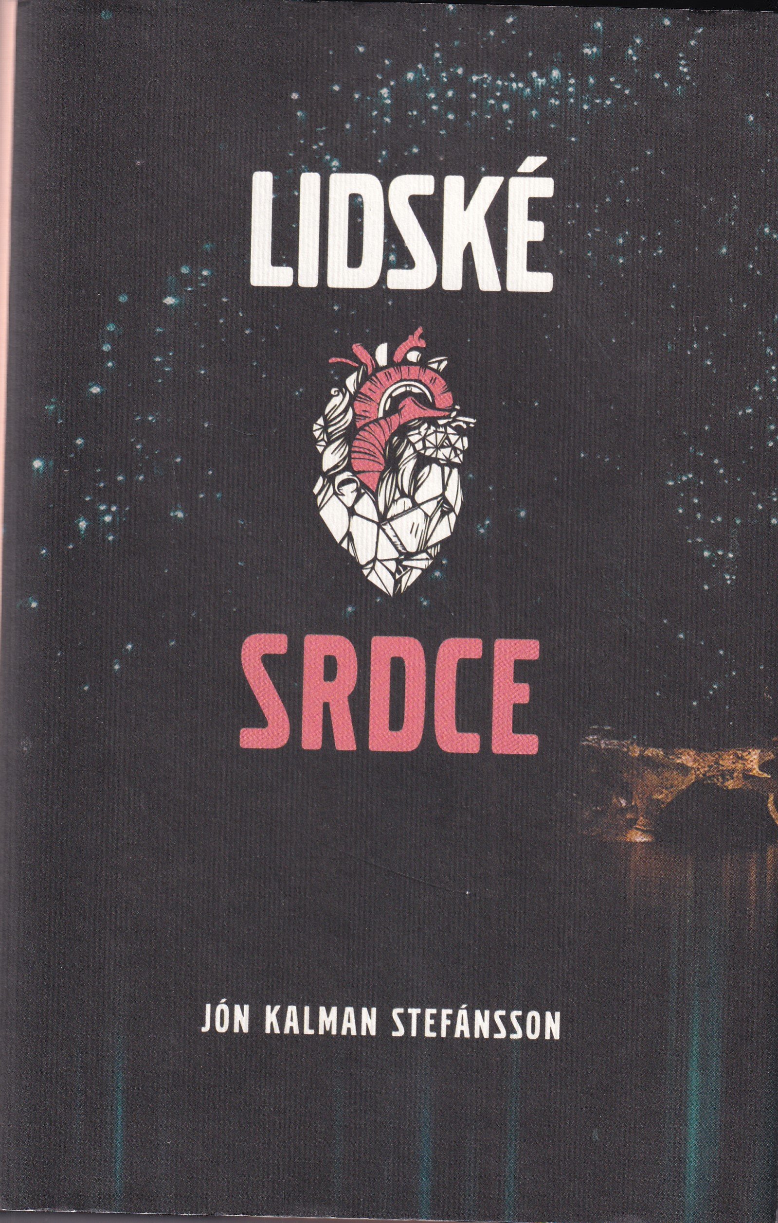 Lidské srdce