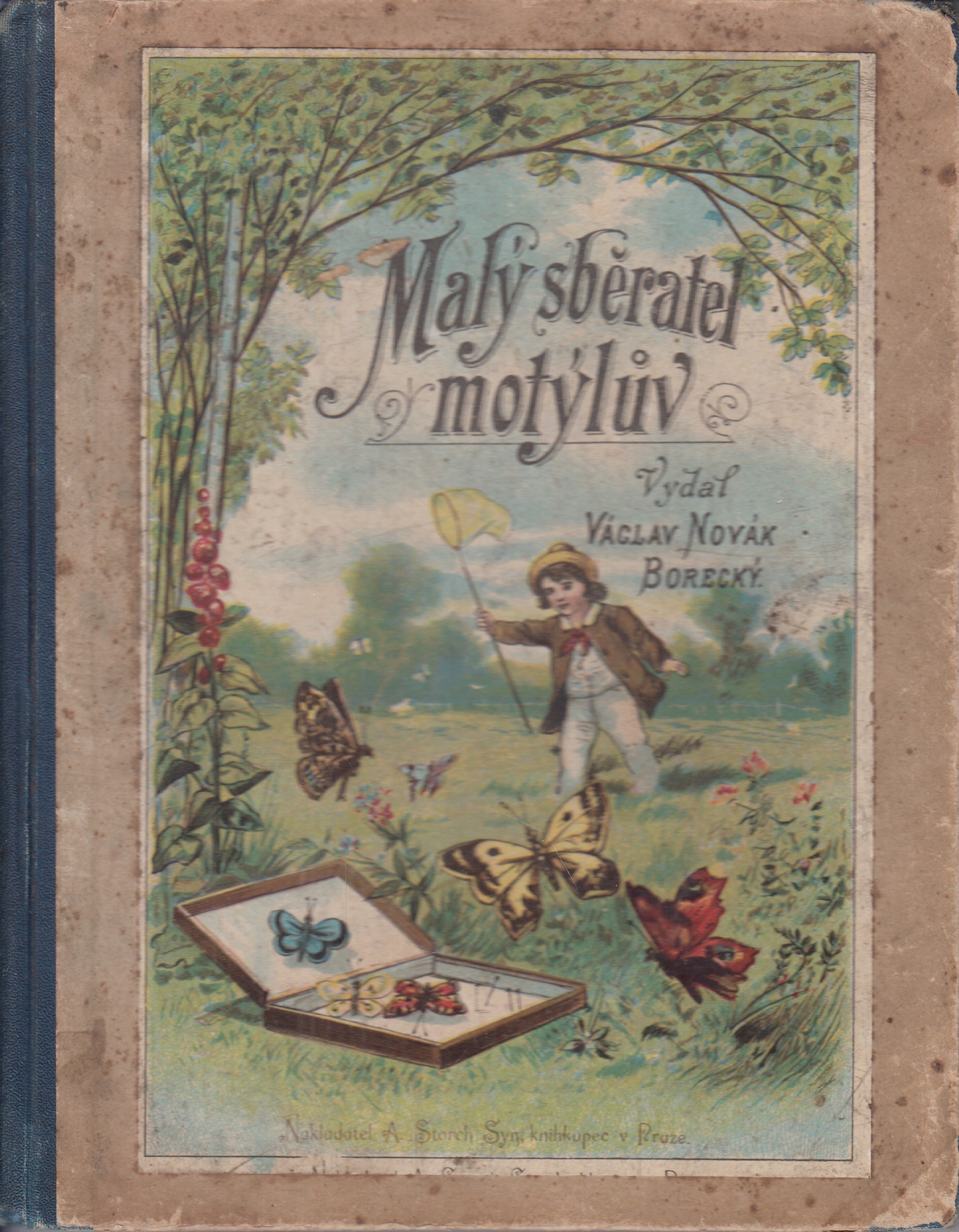 Malý sběratel motýlů : stručný návod, jak motýle chytati, pěstovati, do sbírek upravovati a řádně určovati