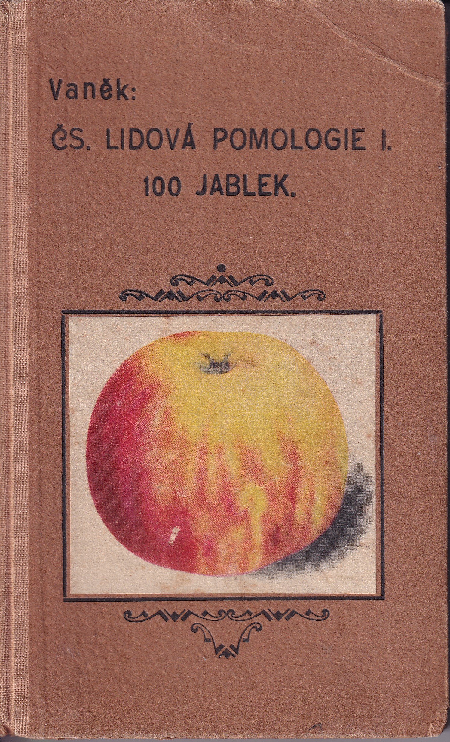 Jablka : 100 nejdůležitějších odrůd - lidová pomologie I