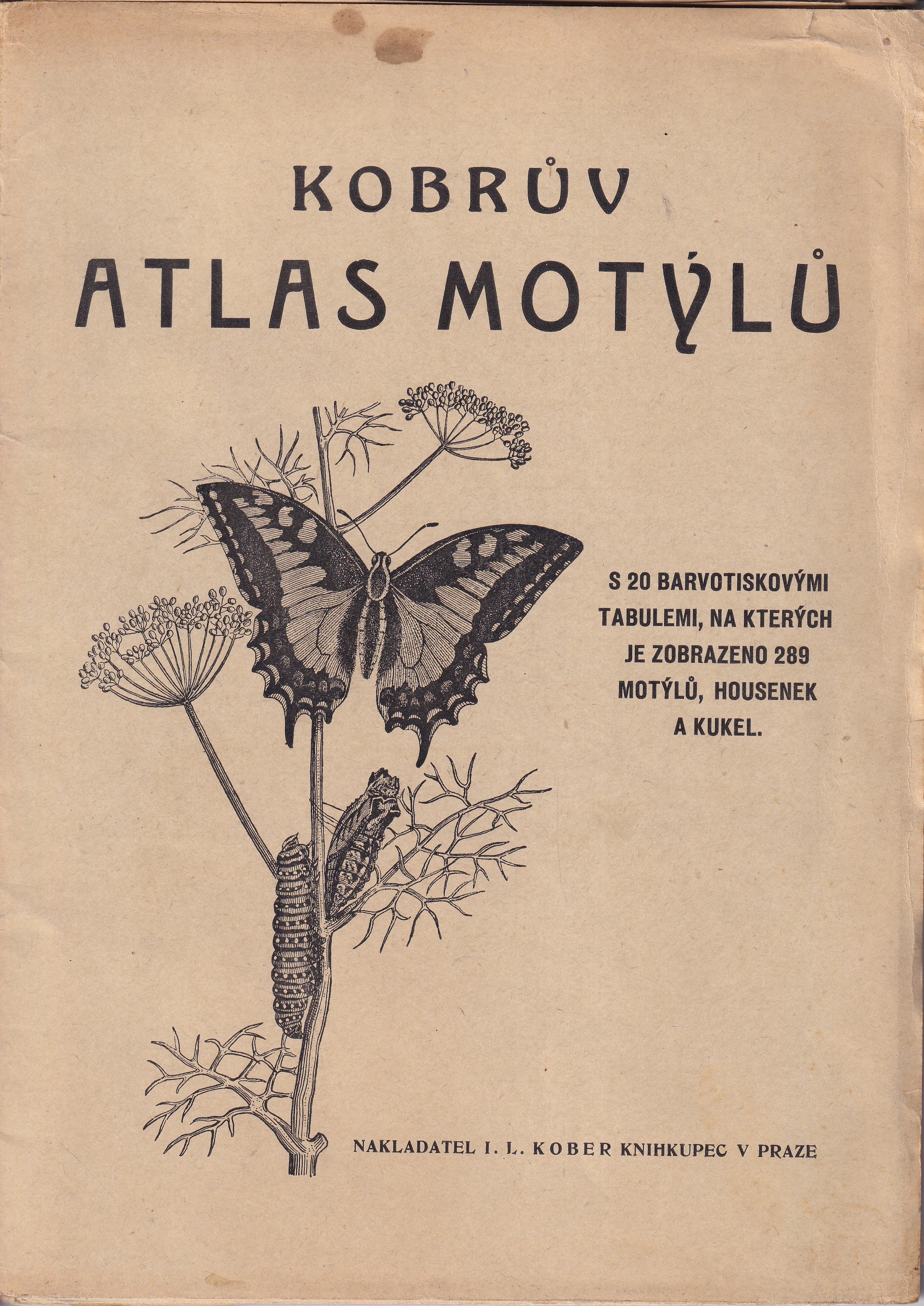 Kobrův atlas motýlů