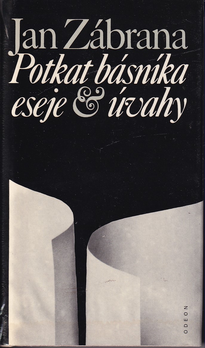 Potkat básníka : eseje a úvahy