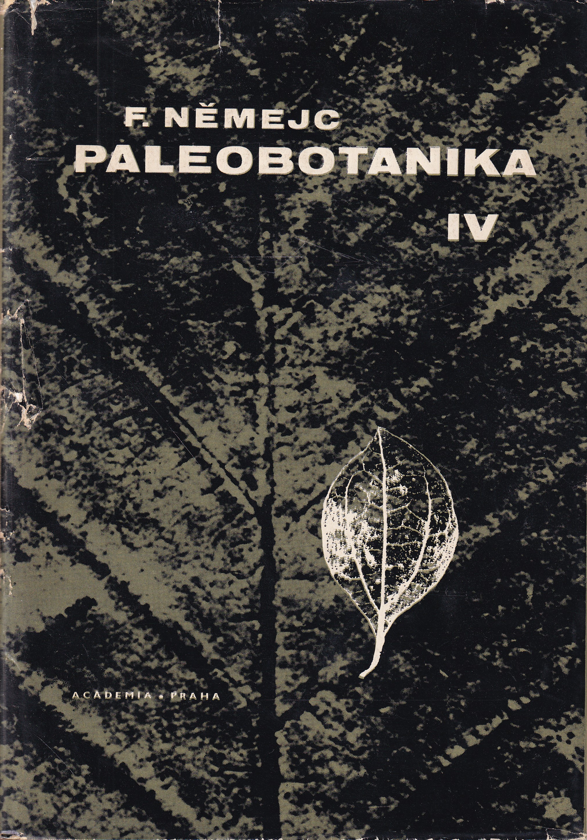 Paleobotanika  4.  Systematická část  Rostliny krytosemenné