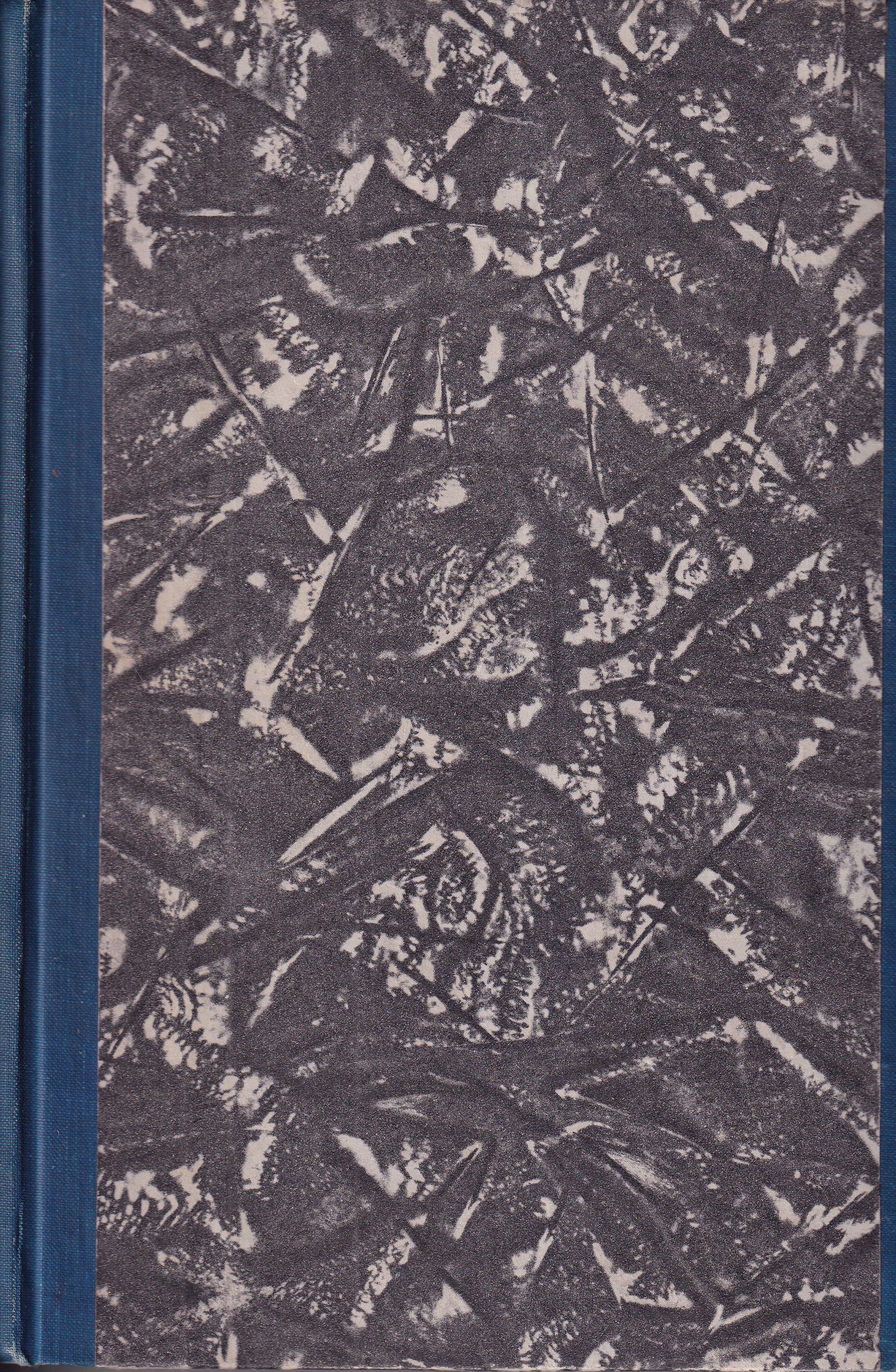 O slohu různých národů se zvláštním zřetelem k ornamentice : pro přátele umění, učitele kreslení a pro kandidáty připravující se